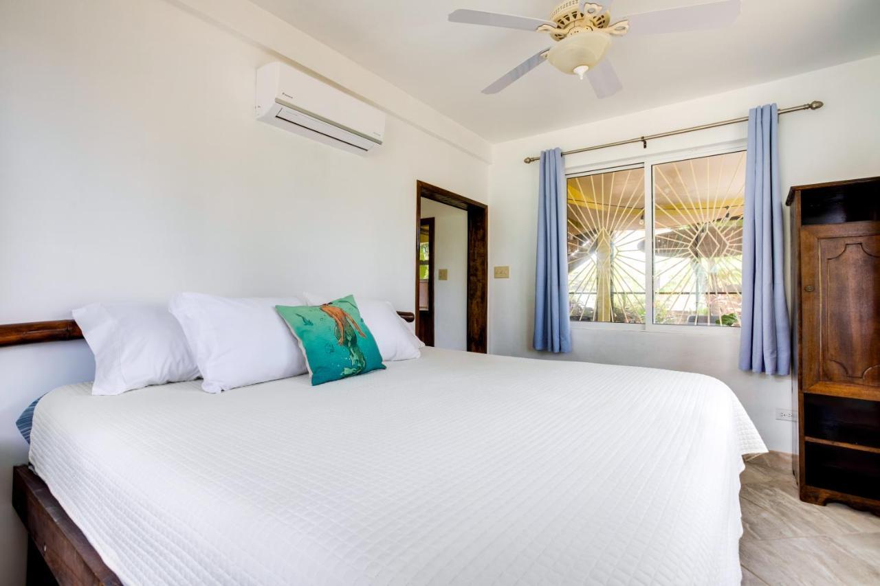 Driftwood Gardens Guesthouse Placencia Extérieur photo