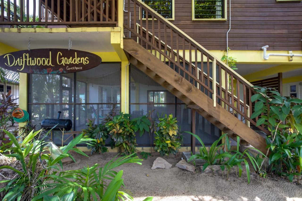Driftwood Gardens Guesthouse Placencia Extérieur photo