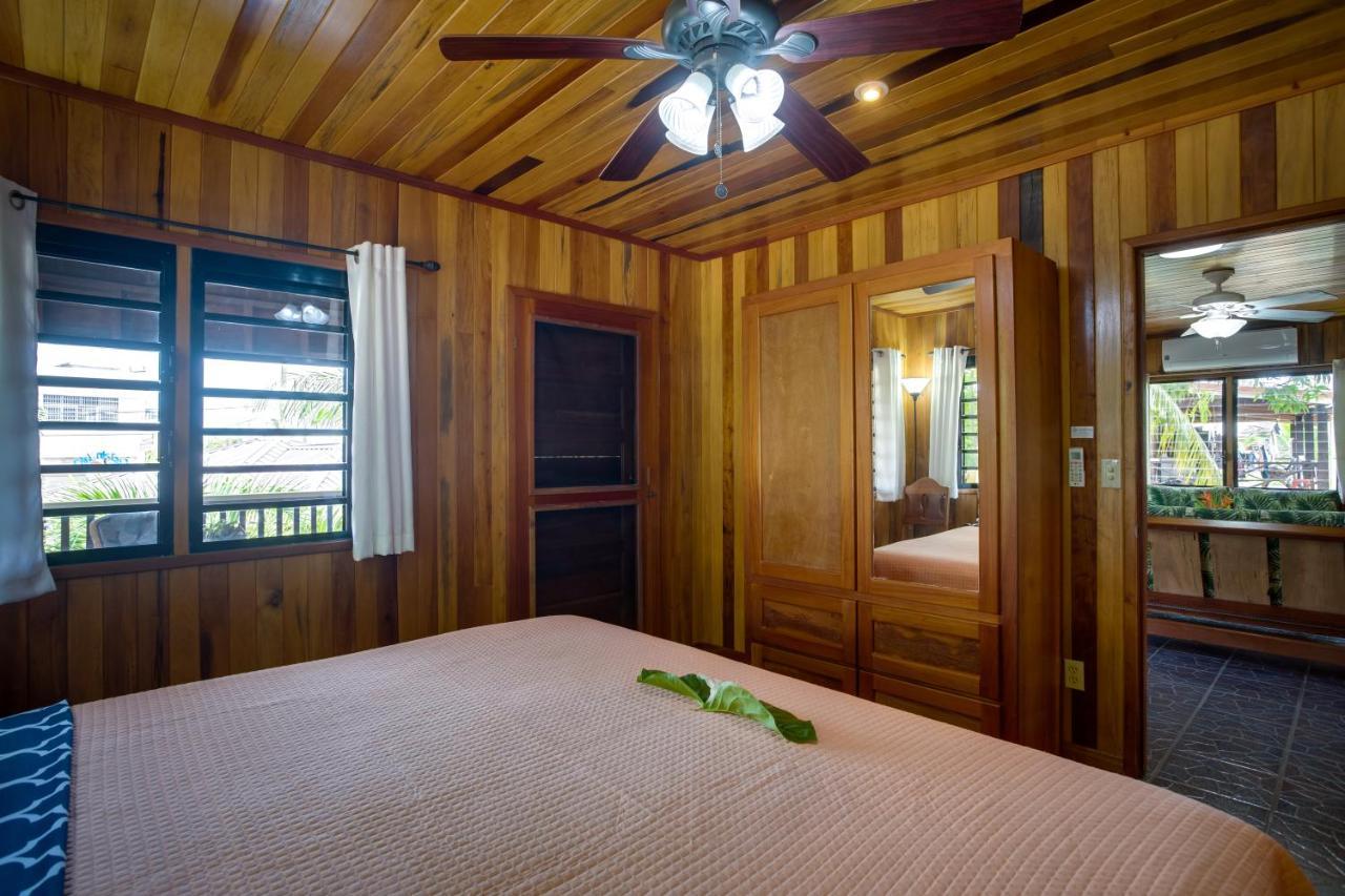 Driftwood Gardens Guesthouse Placencia Extérieur photo