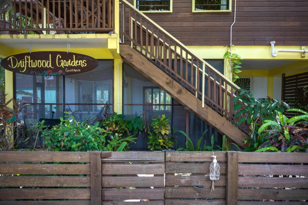 Driftwood Gardens Guesthouse Placencia Extérieur photo