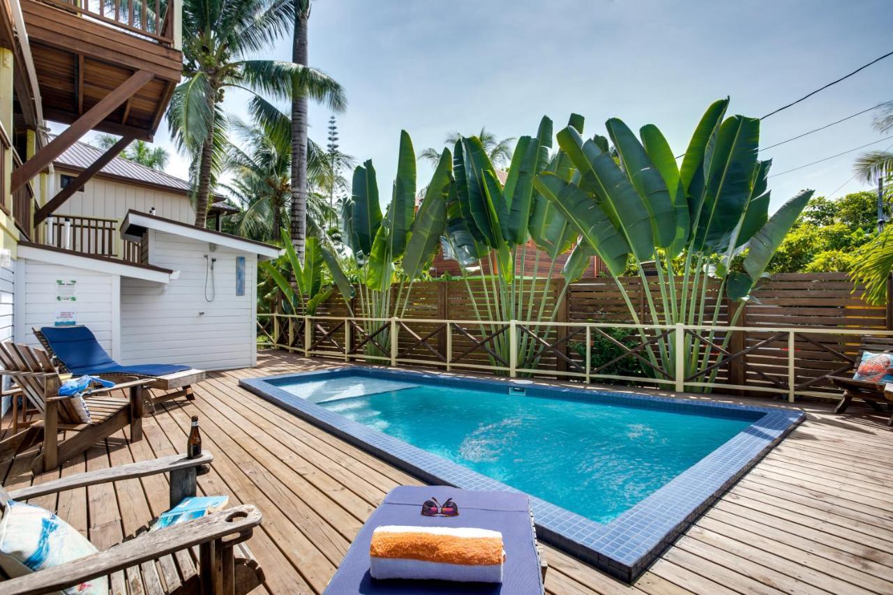 Driftwood Gardens Guesthouse Placencia Extérieur photo