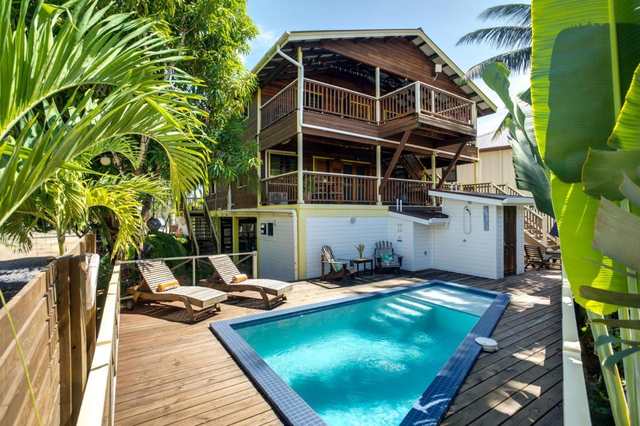 Driftwood Gardens Guesthouse Placencia Extérieur photo