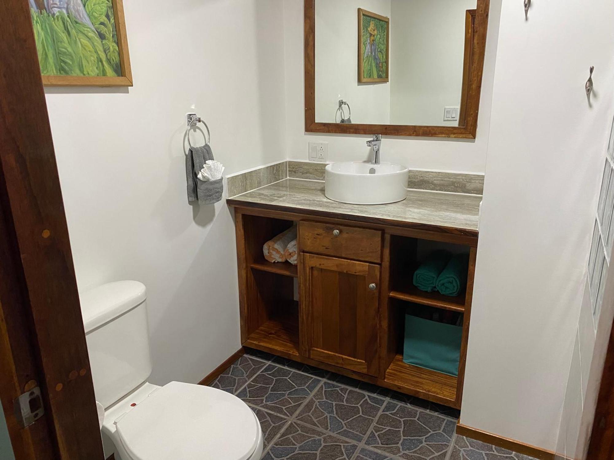 Driftwood Gardens Guesthouse Placencia Extérieur photo