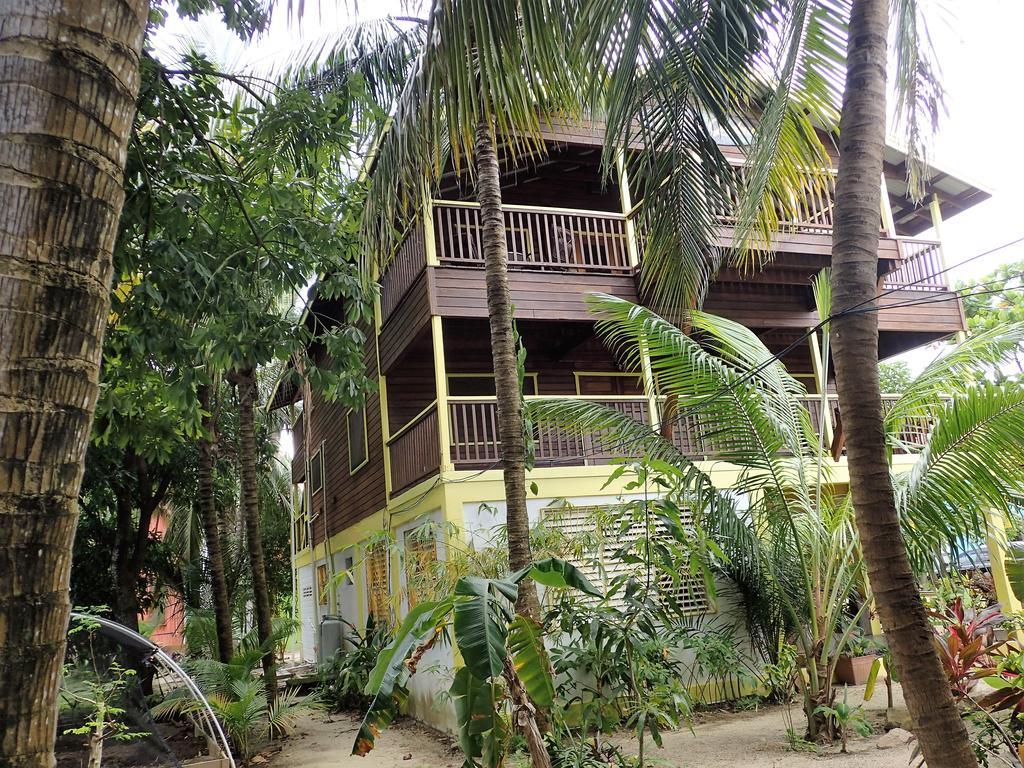 Driftwood Gardens Guesthouse Placencia Extérieur photo